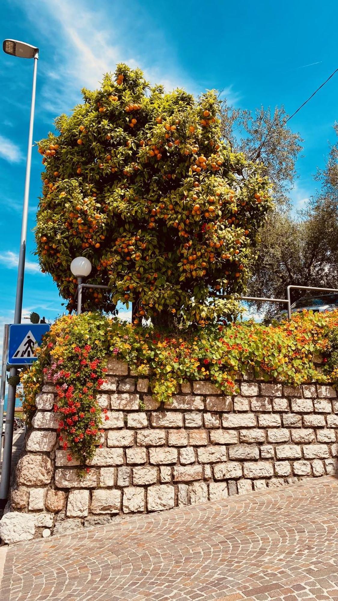 Hotel Ideal Malcesine Bagian luar foto